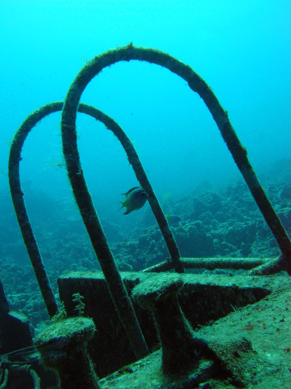 red sea_040.jpg